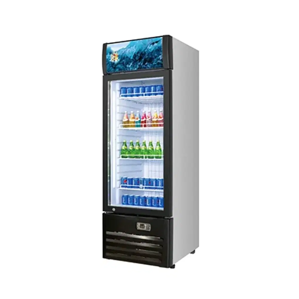 Frigomax Series 23" Commercial Merchandiser Refrigerator, 1 Swing Glass Door, Coated Steel, 1 Year Warranty