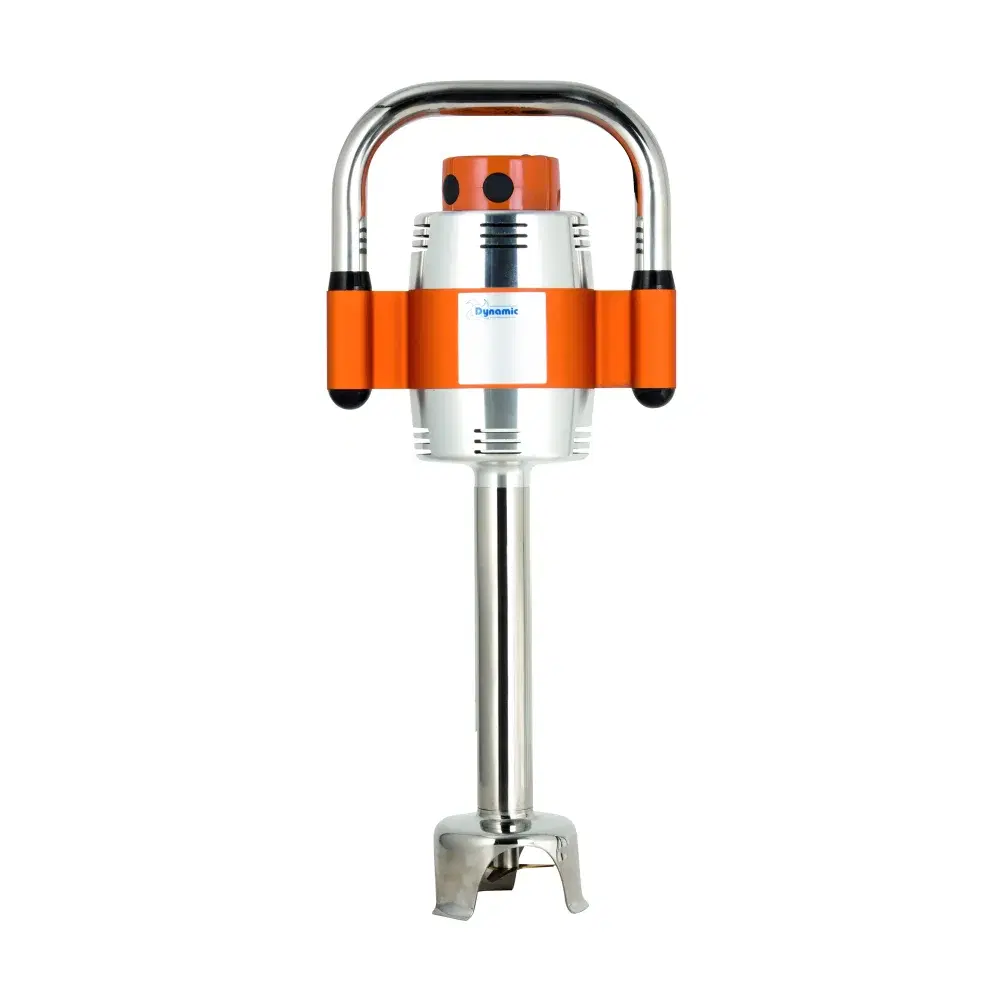 Dynamic MX041ES 12" Immersion Blender, Single Speed, 230V
