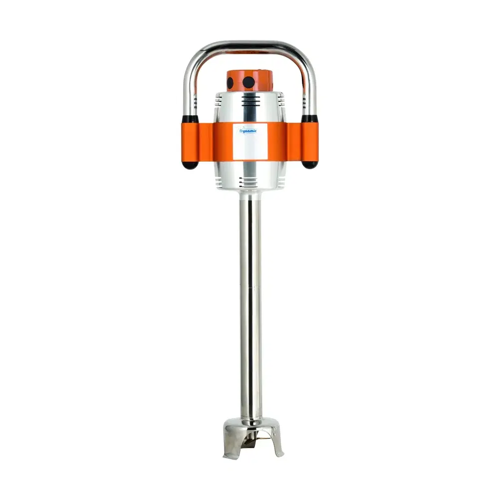 Dynamic MX044ES 18" Immersion Blender, Single Speed, 230V