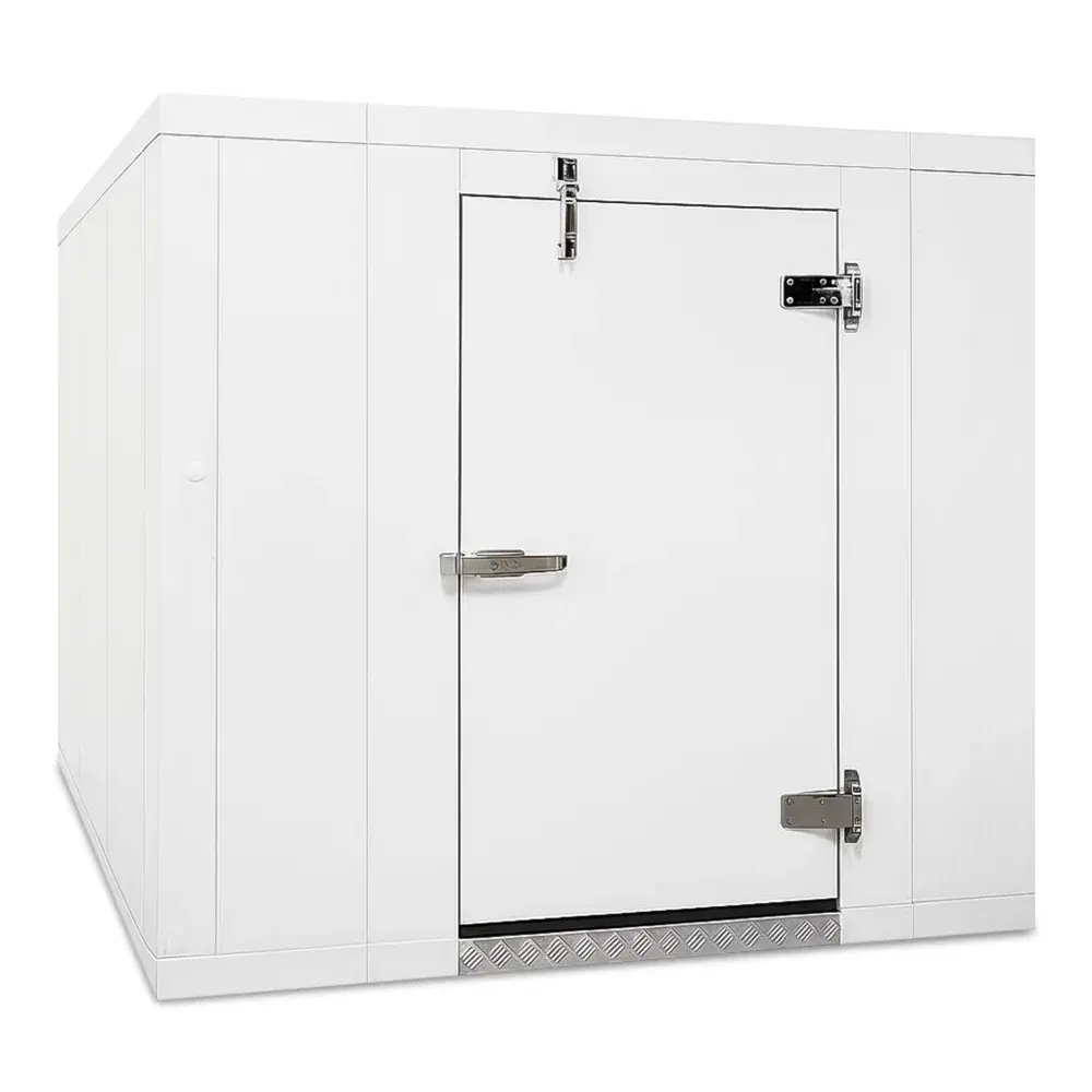 Astra 8' x 10' Floorless Walk-In Cooler Box Only